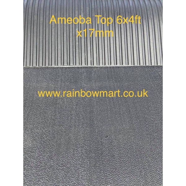 Ameoba Top / Stable / Gym / Garage Rubber Mat 6x4ftx17mm
