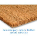 Heavy Duty Coir Entrance Matting / Lifts Dirt - Foyer Lobby Reception Door Mat
