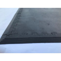  Interlock Mats - Gym/Exercise/Yoga/Garage/Workshop 1X1Mx17MM