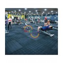Interlocking Tile Gym Mat 