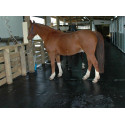 Rubber Stable /Horse Hammer Top Mats-6x4ftx17mm